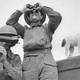 Illustration for article titled The Loyal Dogs Who Served Alongside Human Soldiers In War